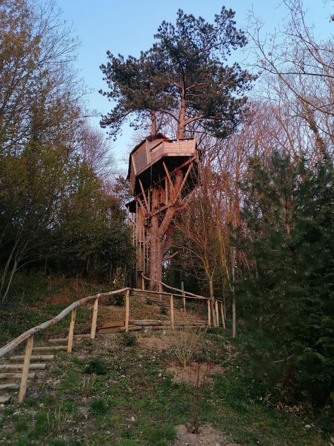 Sherwood Tree * Etretat